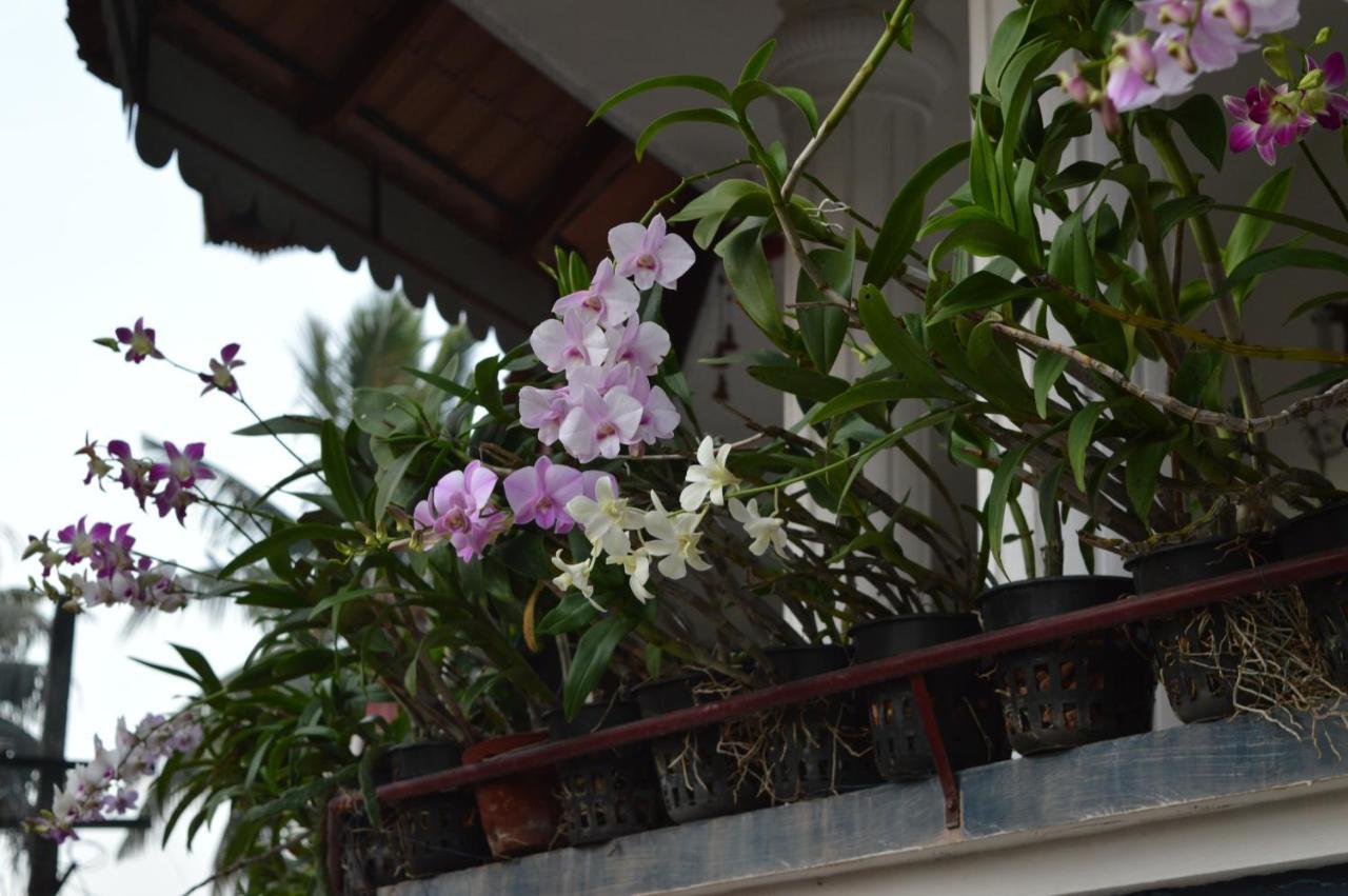 Dream Catcher Home Stay Kochi Exterior foto